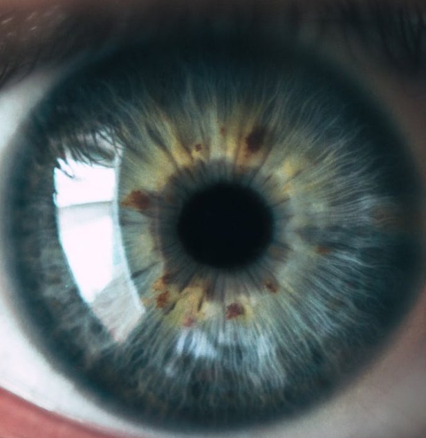 person eye